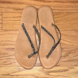 Cynthia Rowley, thong sandals, Leopard print, size 9